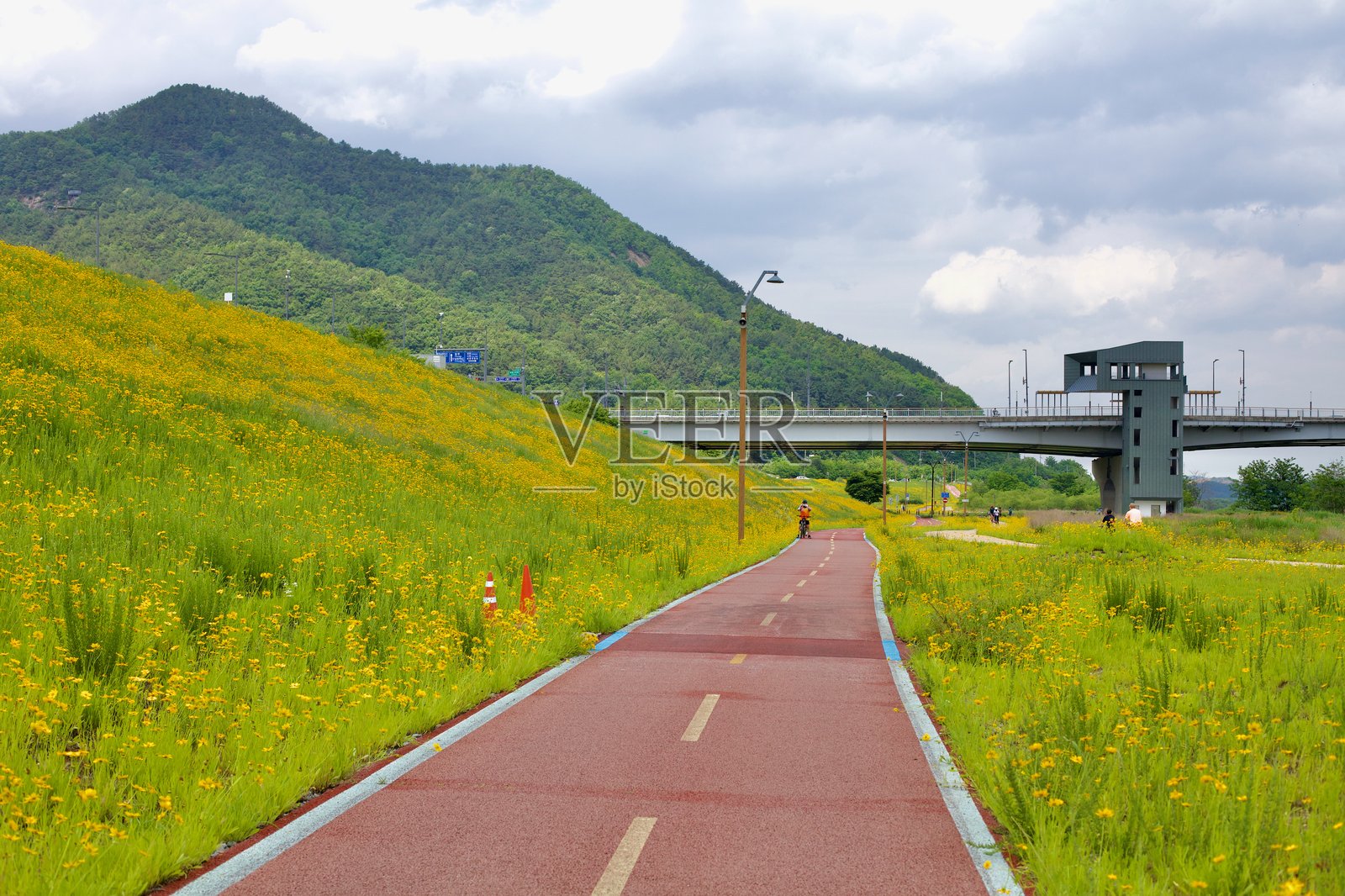世宗市金川河沿岸的自行车道照片摄影图片