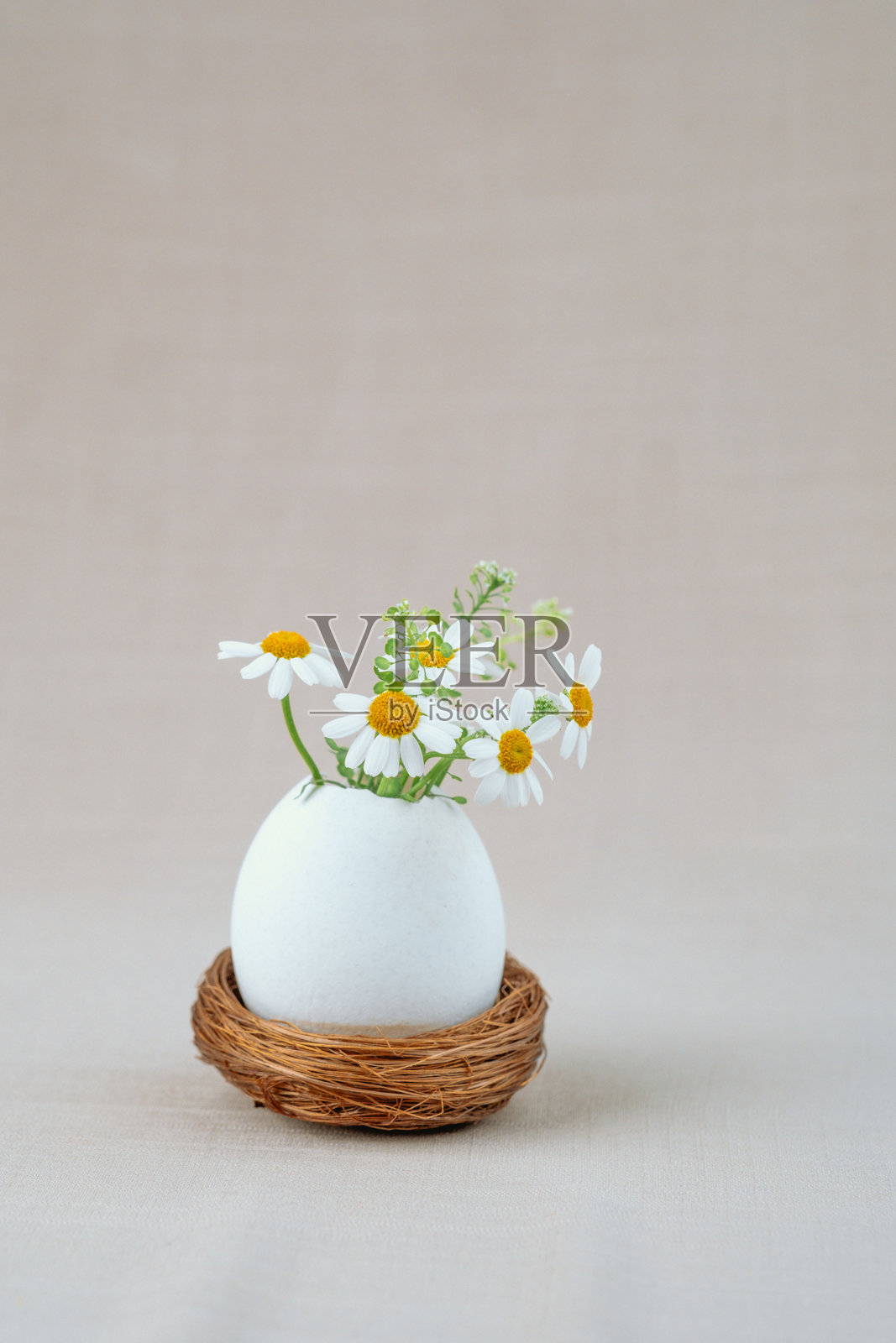 蛋壳花瓶里装着白色雏菊，放在鸟巢中。复活节背景。照片摄影图片
