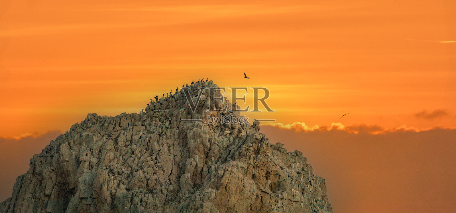 在墨西哥下加利福尼亚州的卡波圣卢卡斯，成群的棕色鹈鹕在日落时分聚集在壮观的岩石 formations 上。照片摄影图片