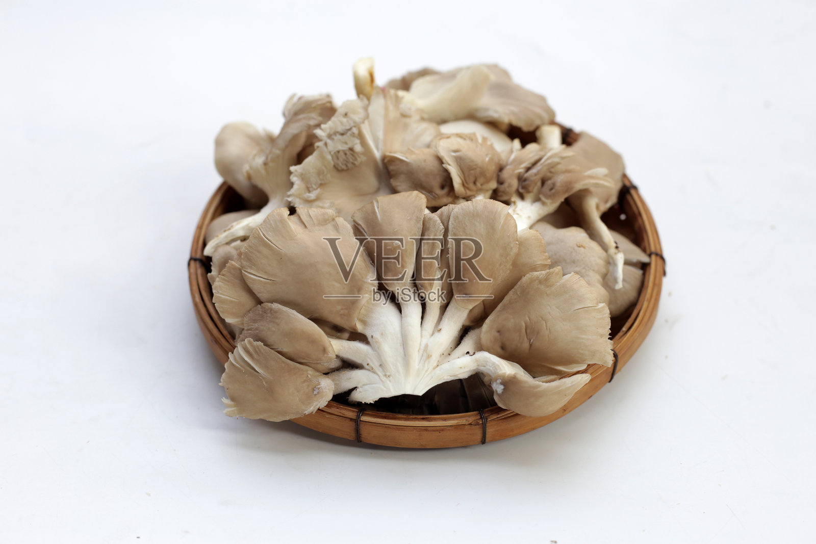 牡蛎菇或肺牡蛎菇照片摄影图片