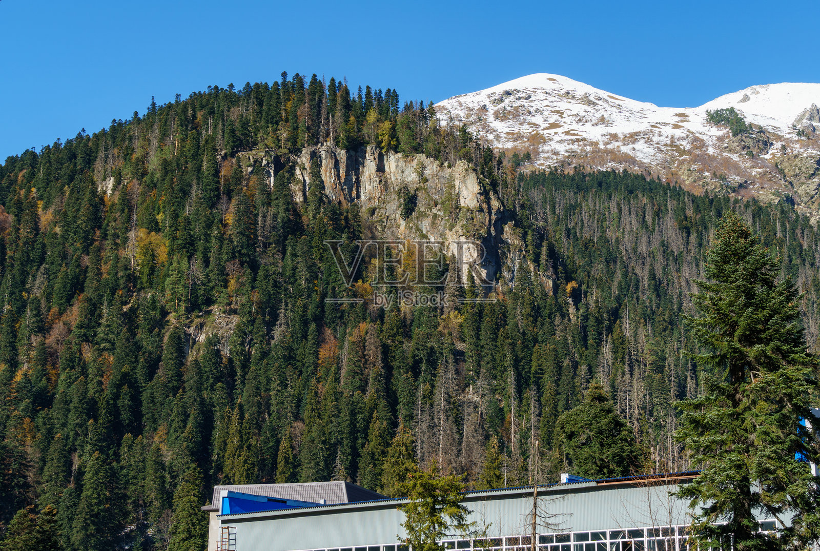 多姆拜的缆车沿着被松树林覆盖的北高加索山脉的美丽山坡运行。俄罗斯卡拉恰伊-切尔克斯地区多姆拜。照片摄影图片