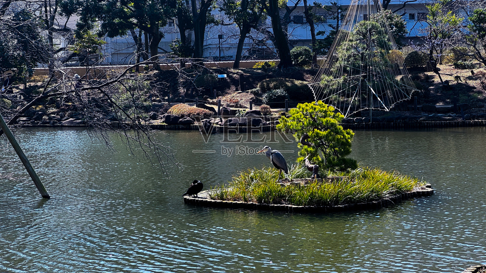 东京的美丽景色照片摄影图片