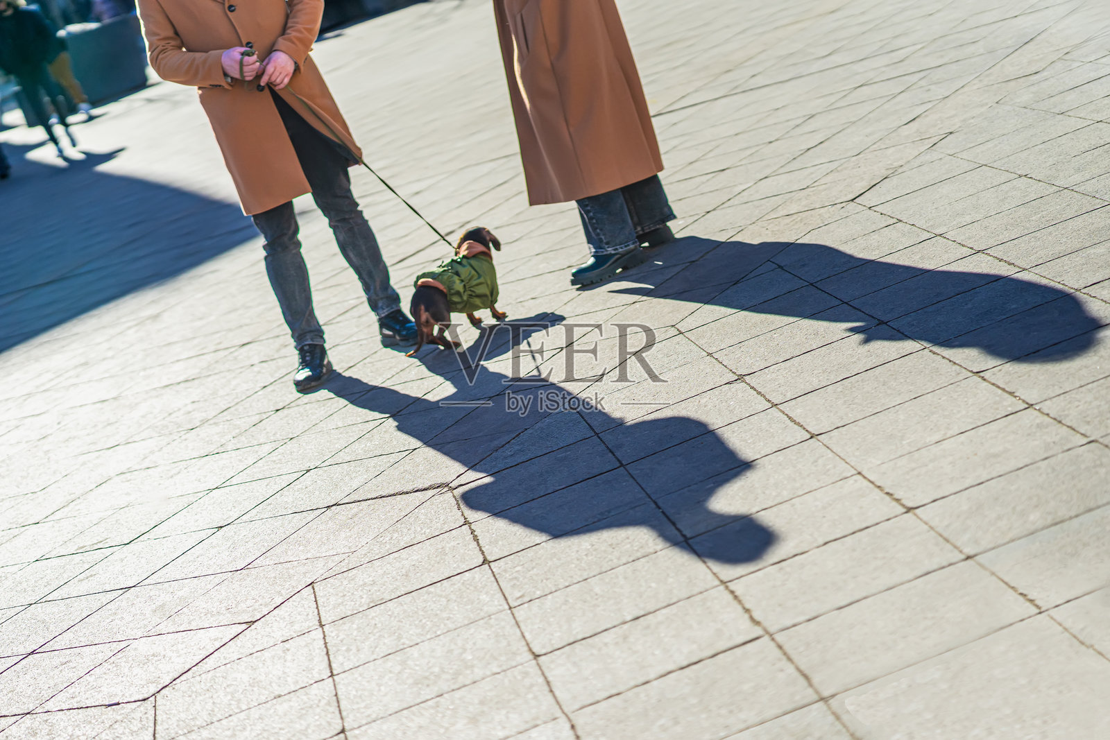 情侣在阳光明媚的城市街道上遛他们的小狗。穿着时尚长外套的情侣在阳光下的城市人行道上漫步，小狗伴随在旁。阴影形成了有趣的视觉效果。照片摄影图片