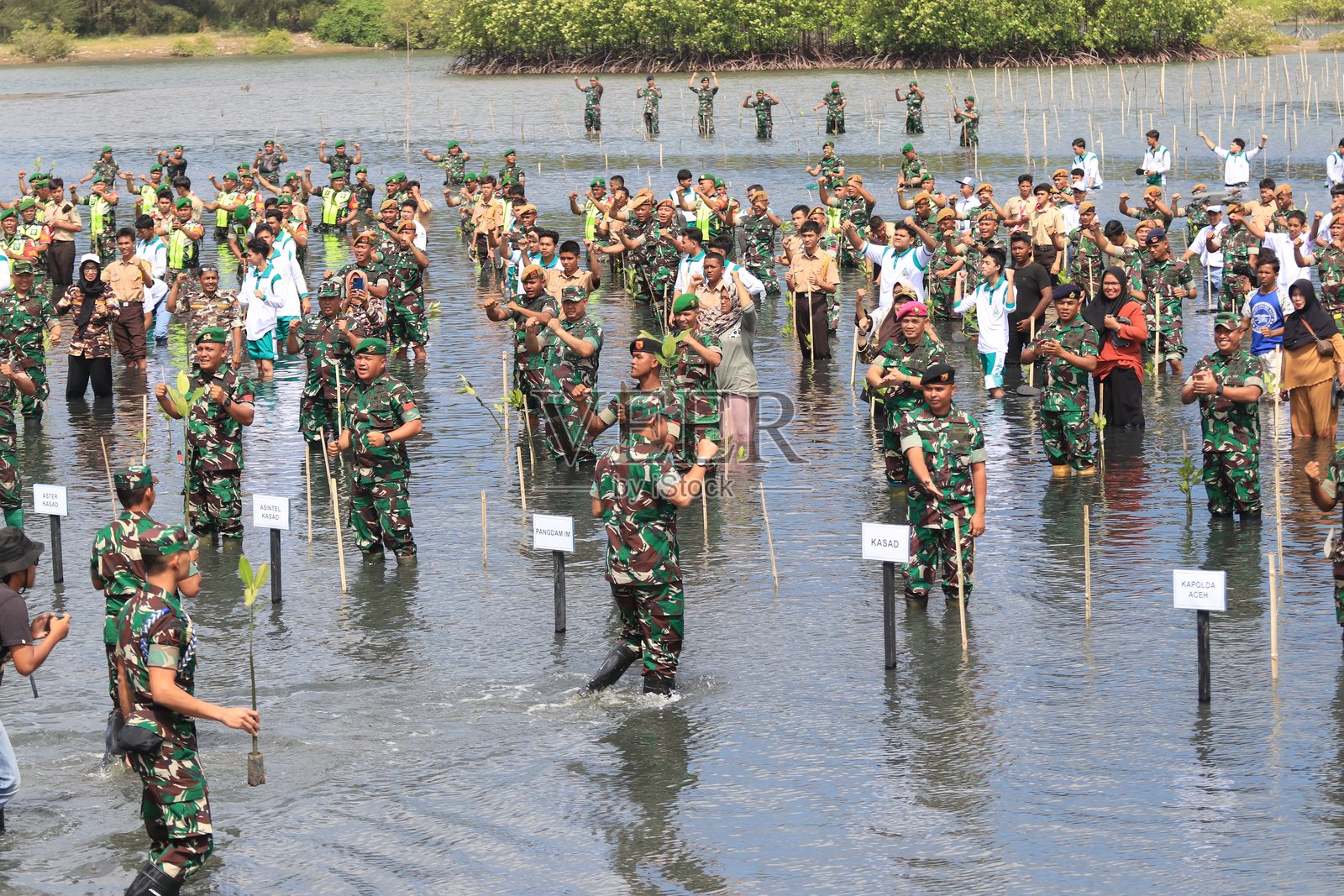 居民种植红树林以保护海洋环境照片摄影图片