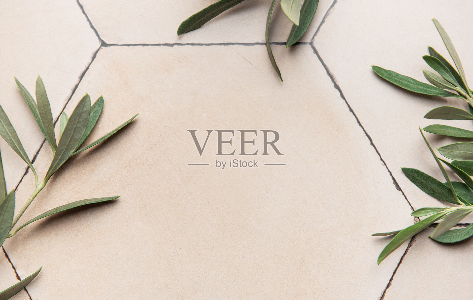 橄榄枝环绕的六角形瓷砖背景，乡村优雅照片摄影图片