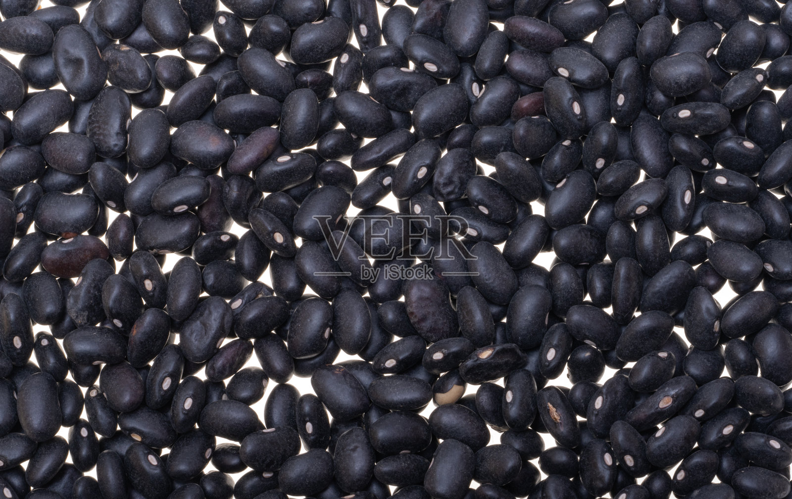 黑豆孤立图像照片摄影图片