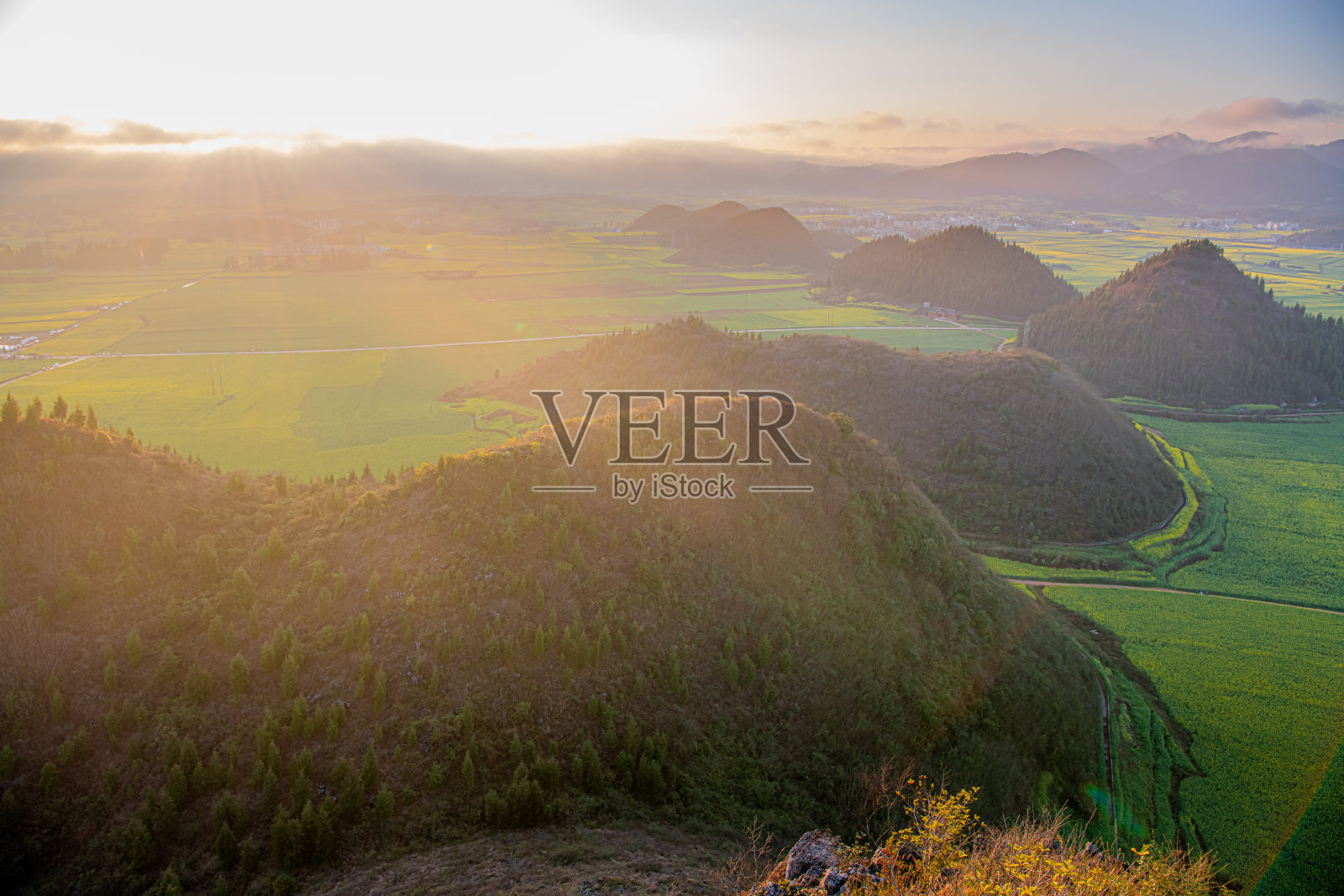 美丽的锐角90度三角形岩石整齐排列，周围是广阔的油菜花田照片摄影图片