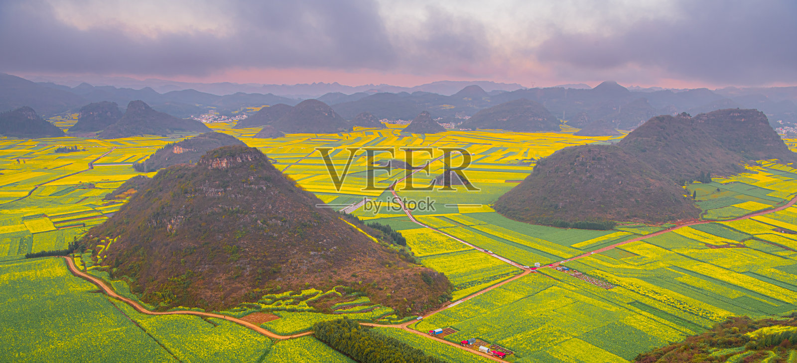 云南罗平山顶壮丽的花海景观照片摄影图片