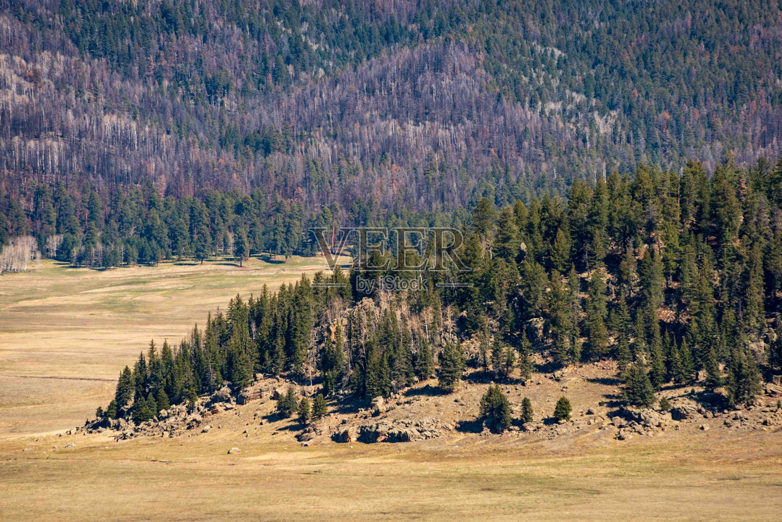 新墨西哥州瓦列斯卡尔德拉国家保护区的崎岖地貌照片摄影图片