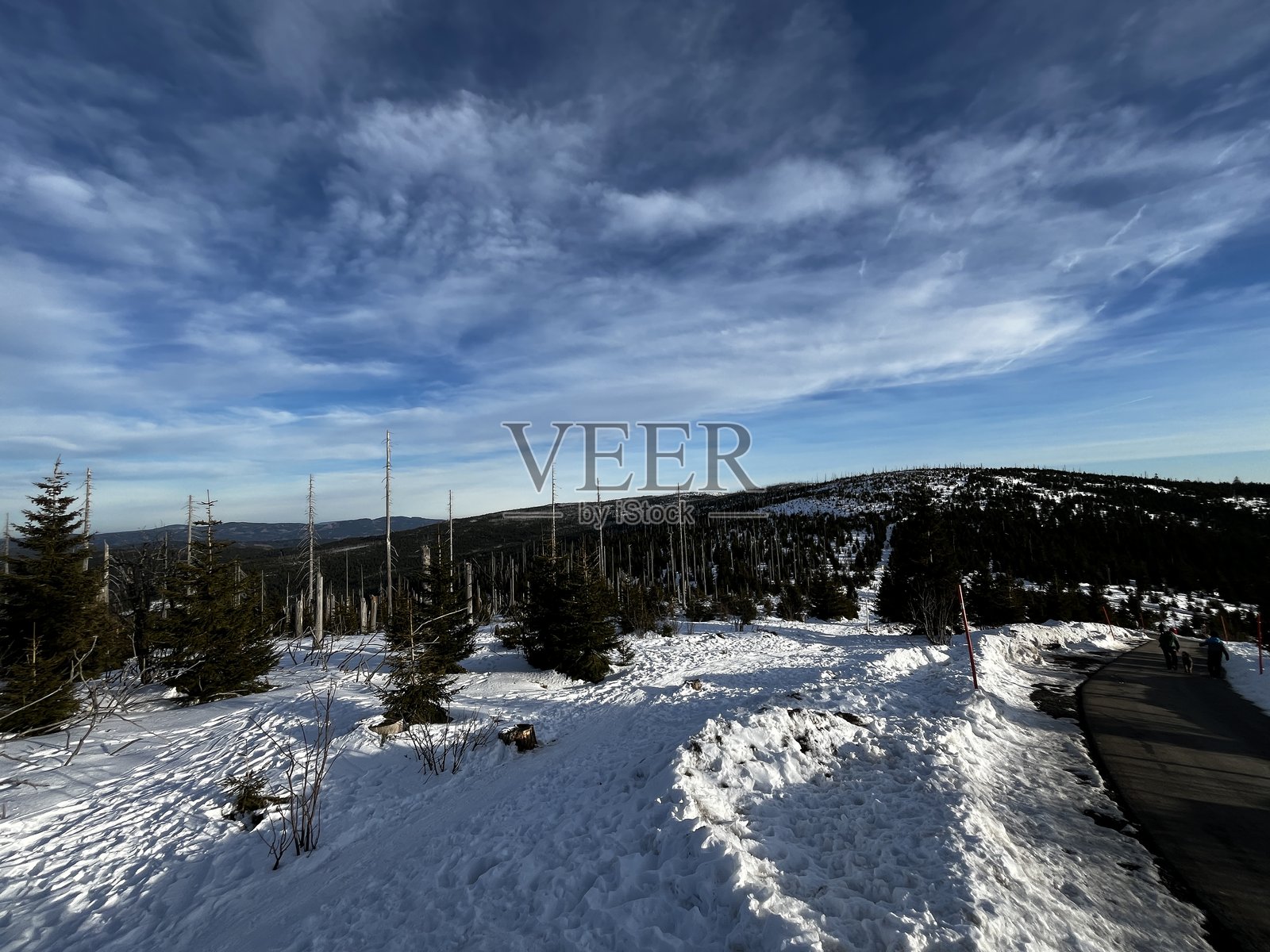 巴伐利亚森林中的美丽冬季雪景照片摄影图片