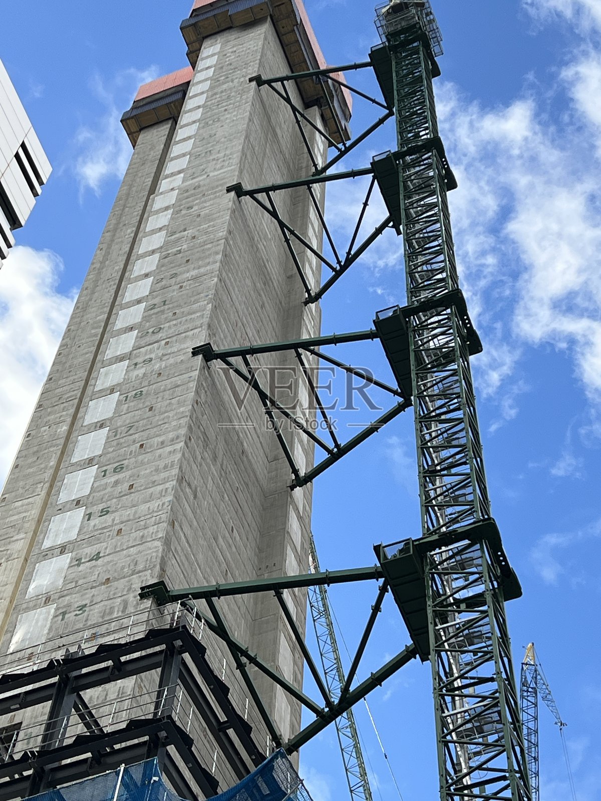 鹤照片摄影图片