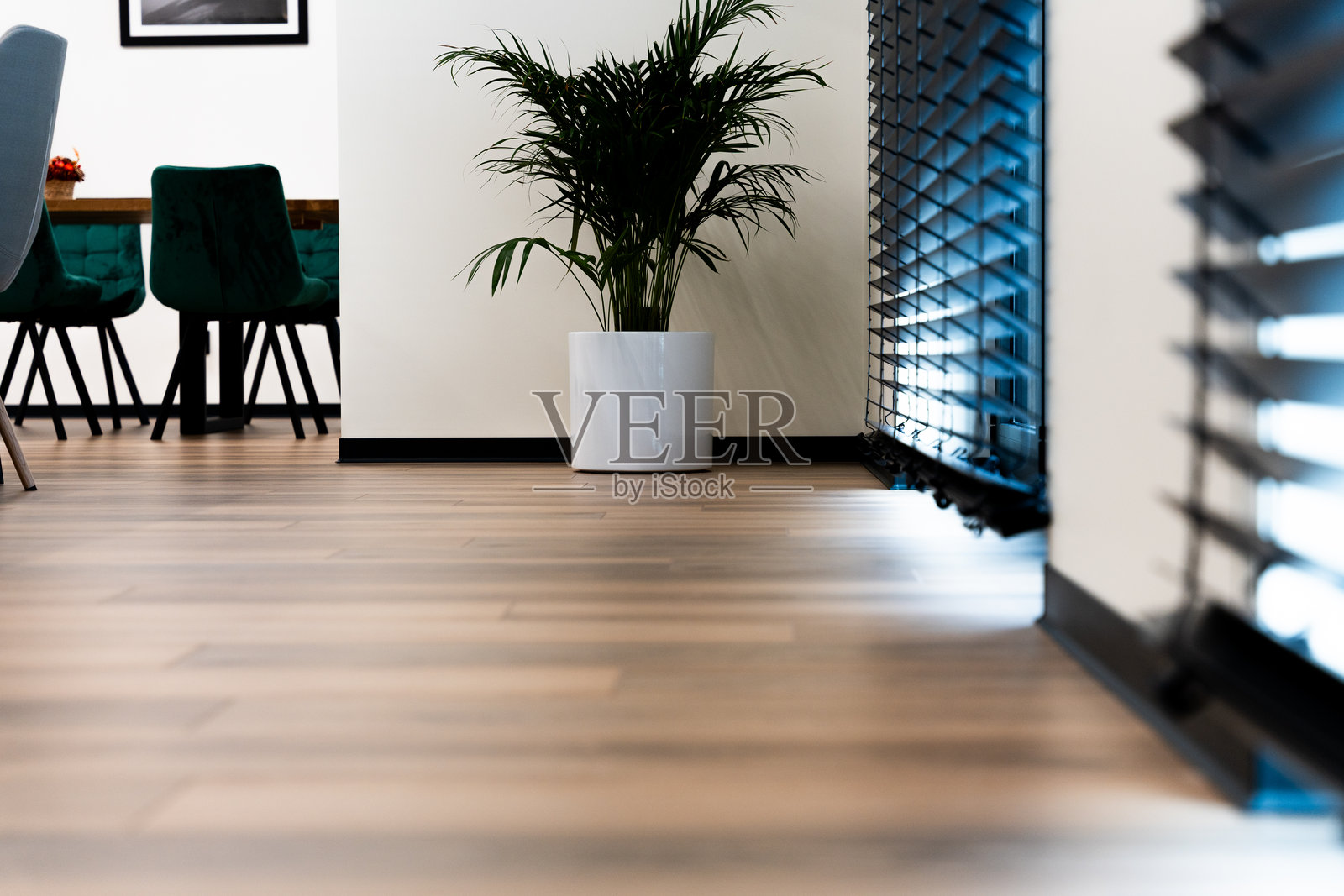 现代办公室空间，配有木地板和盆栽植物照片摄影图片
