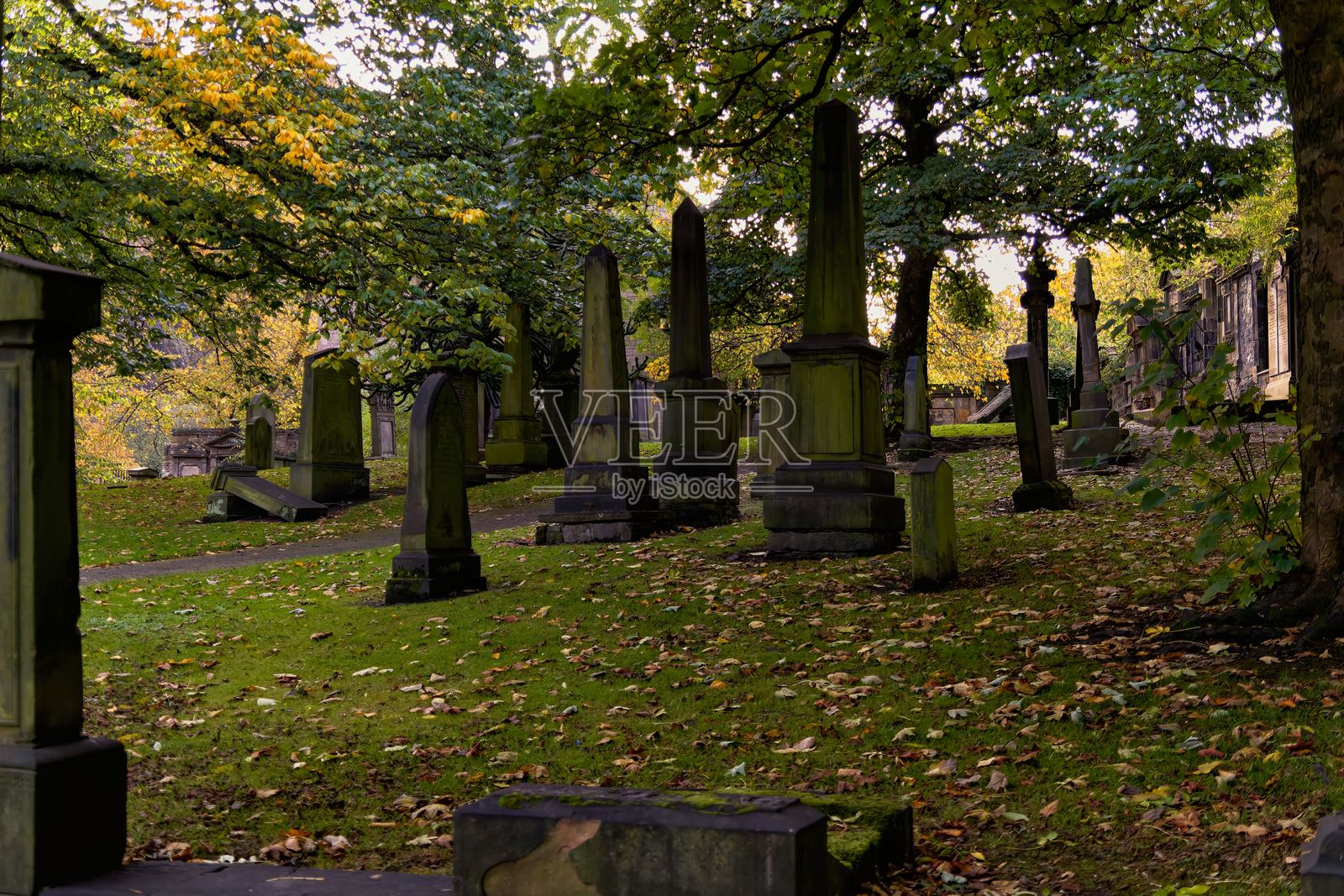 古老的墓地与长满苔藓的墓碑照片摄影图片