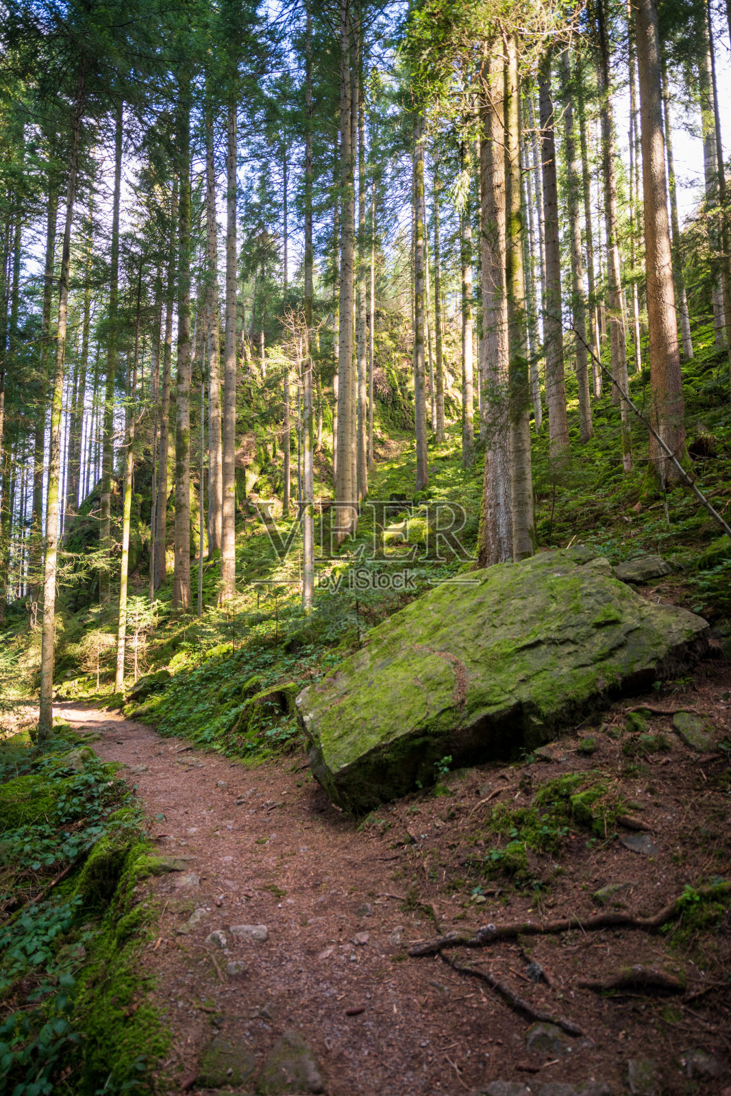 巴登-符腾堡州巴德·里波尔茨道-沙普巴赫的布尔格巴赫瀑布照片摄影图片