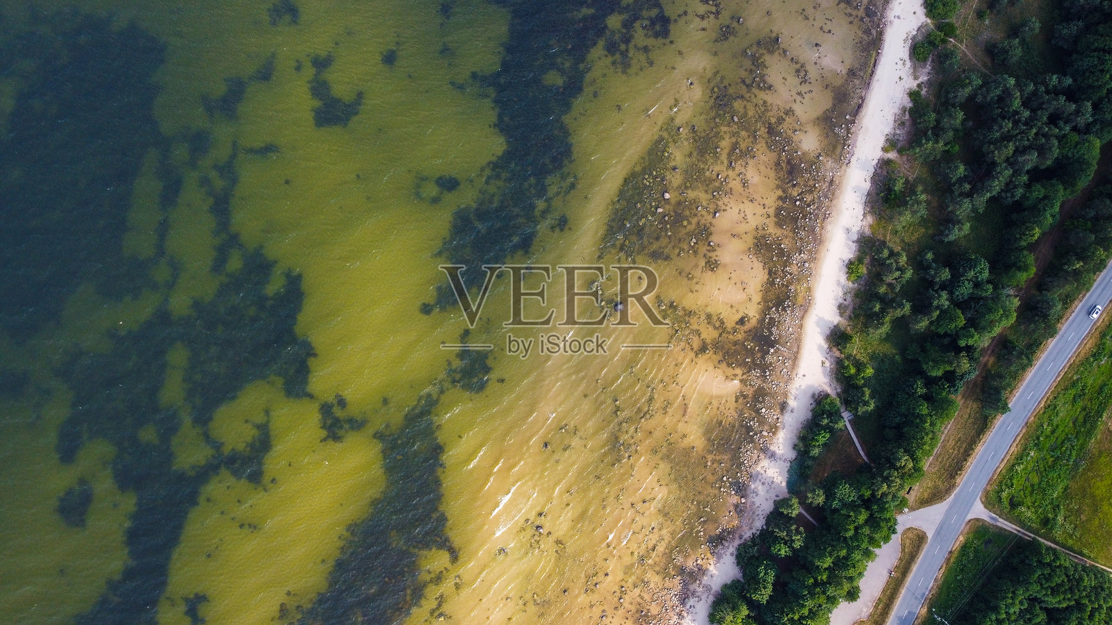 海岸线的鸟瞰图，沙滩、水面和树木相映成趣照片摄影图片