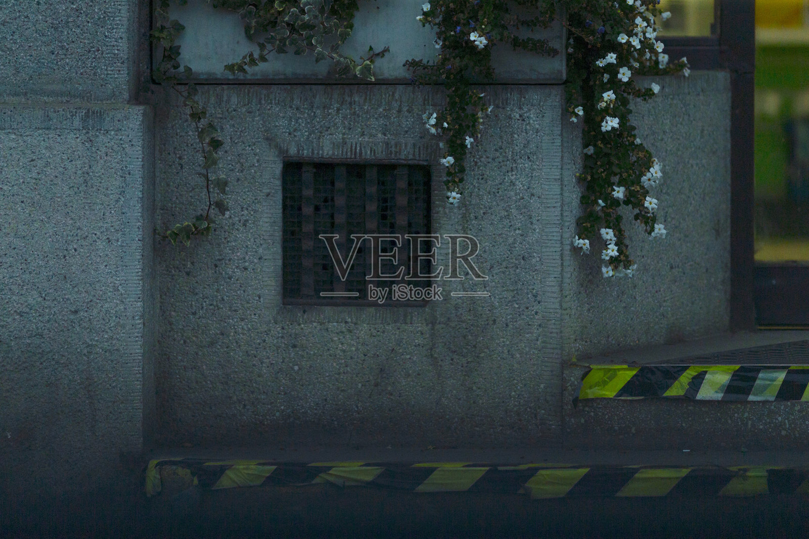 城市墙壁背景，带有生机勃勃的植物和绿意盎然的格栅照片摄影图片