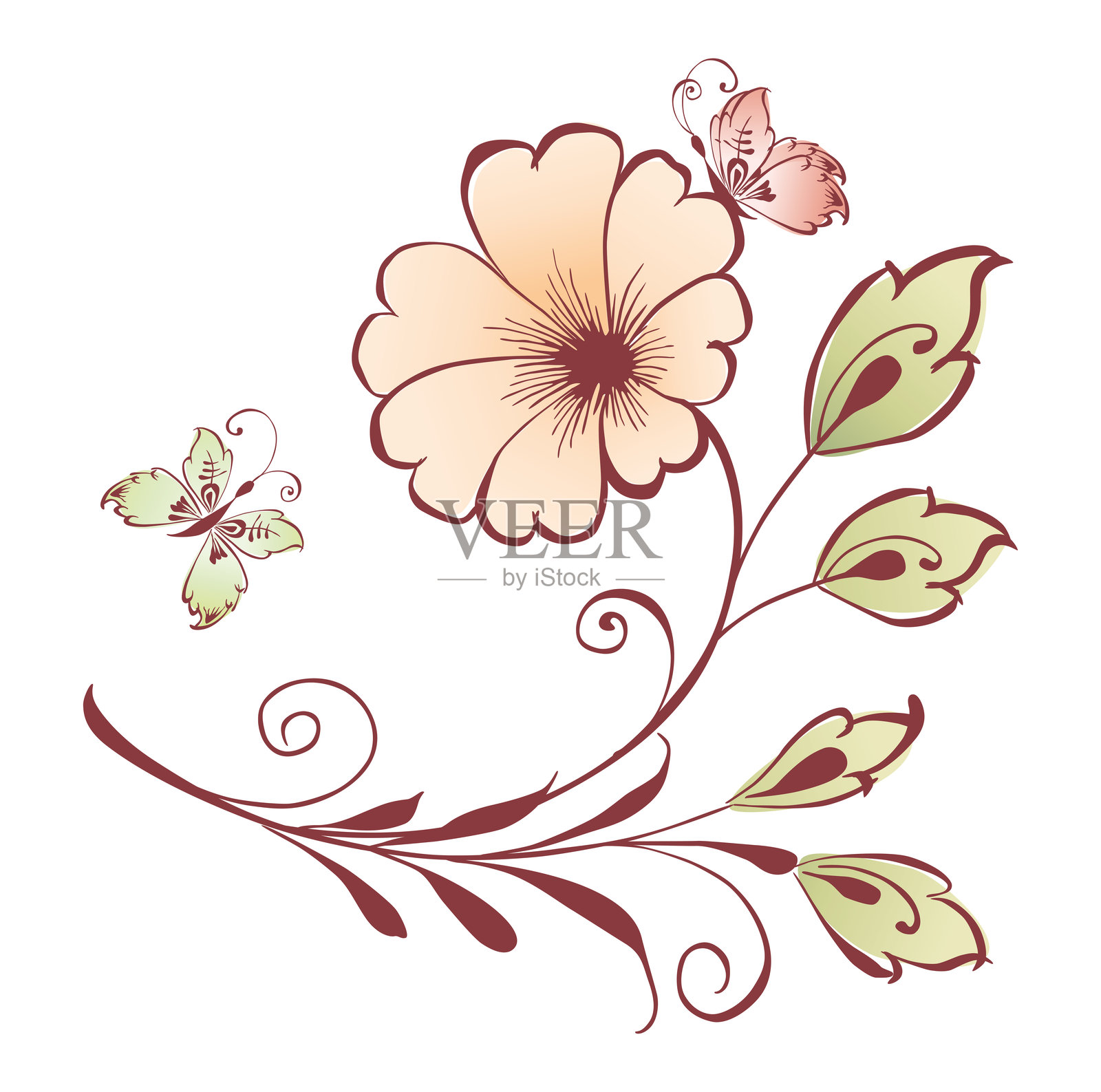 精致的花卉装饰与蝴蝶，白色背景上的矢量插图插画图片素材