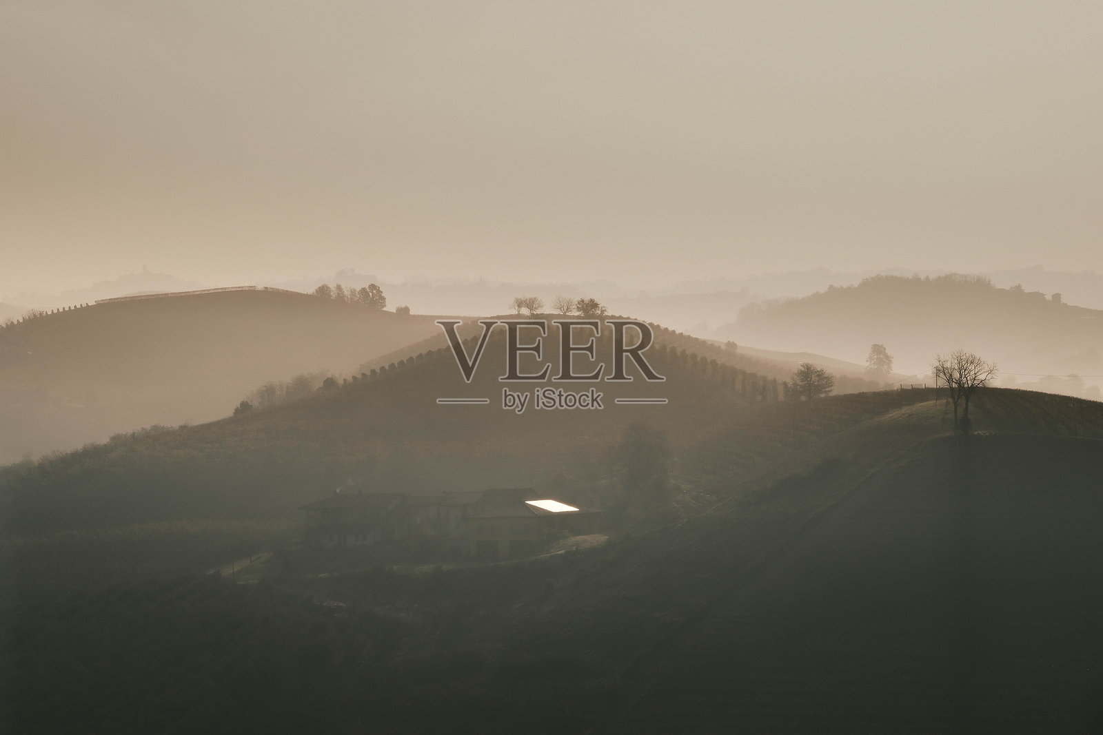 兰赫的皮埃蒙特山丘上笼罩着雾气，葡萄园间若隐若现。照片摄影图片