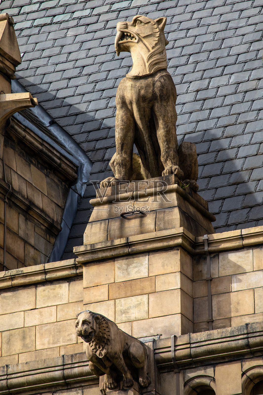 位于英国伦敦自然历史博物馆的雕塑照片摄影图片