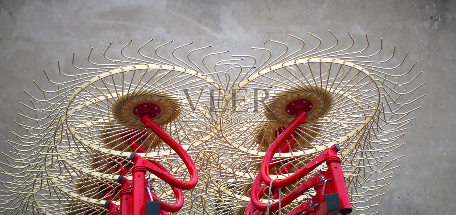 切割植物照片摄影图片