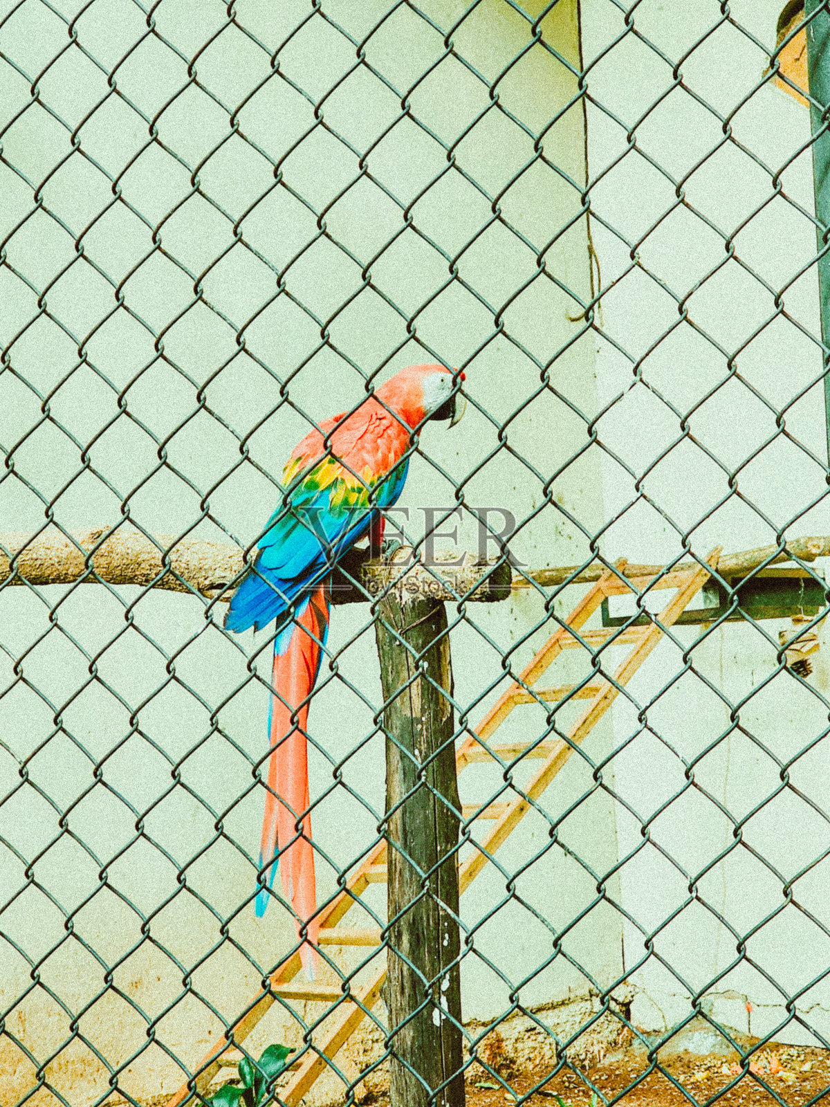 栅栏后的色彩照片摄影图片