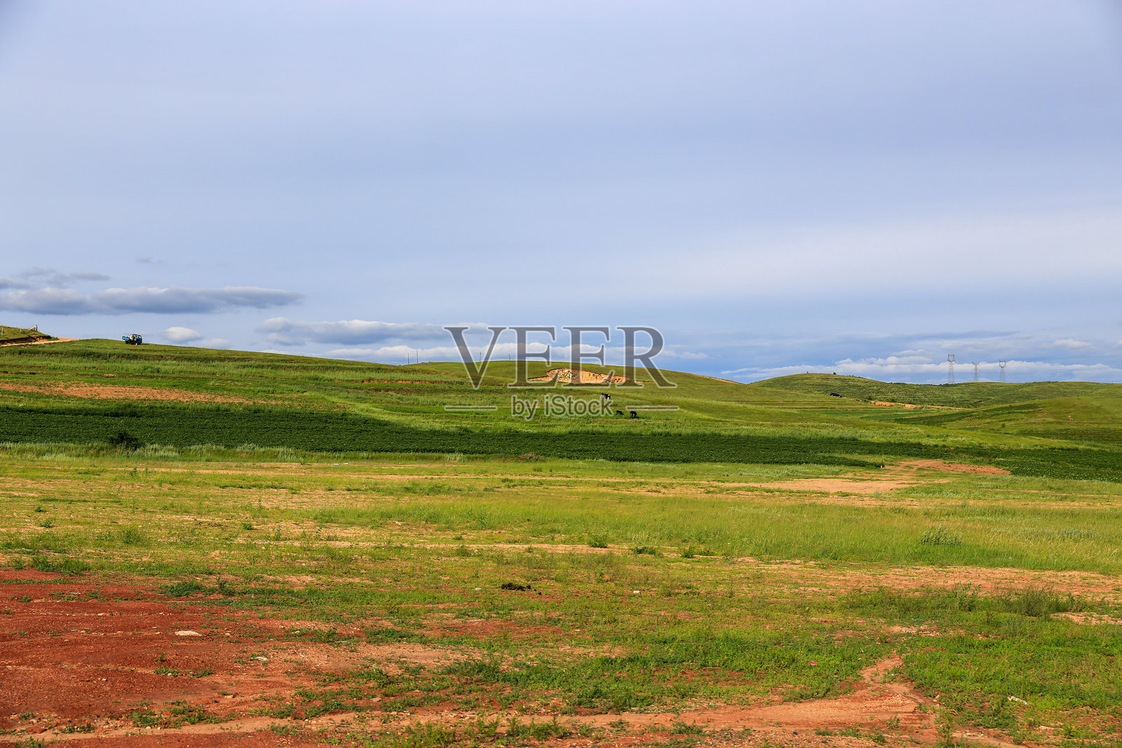 草地照片摄影图片