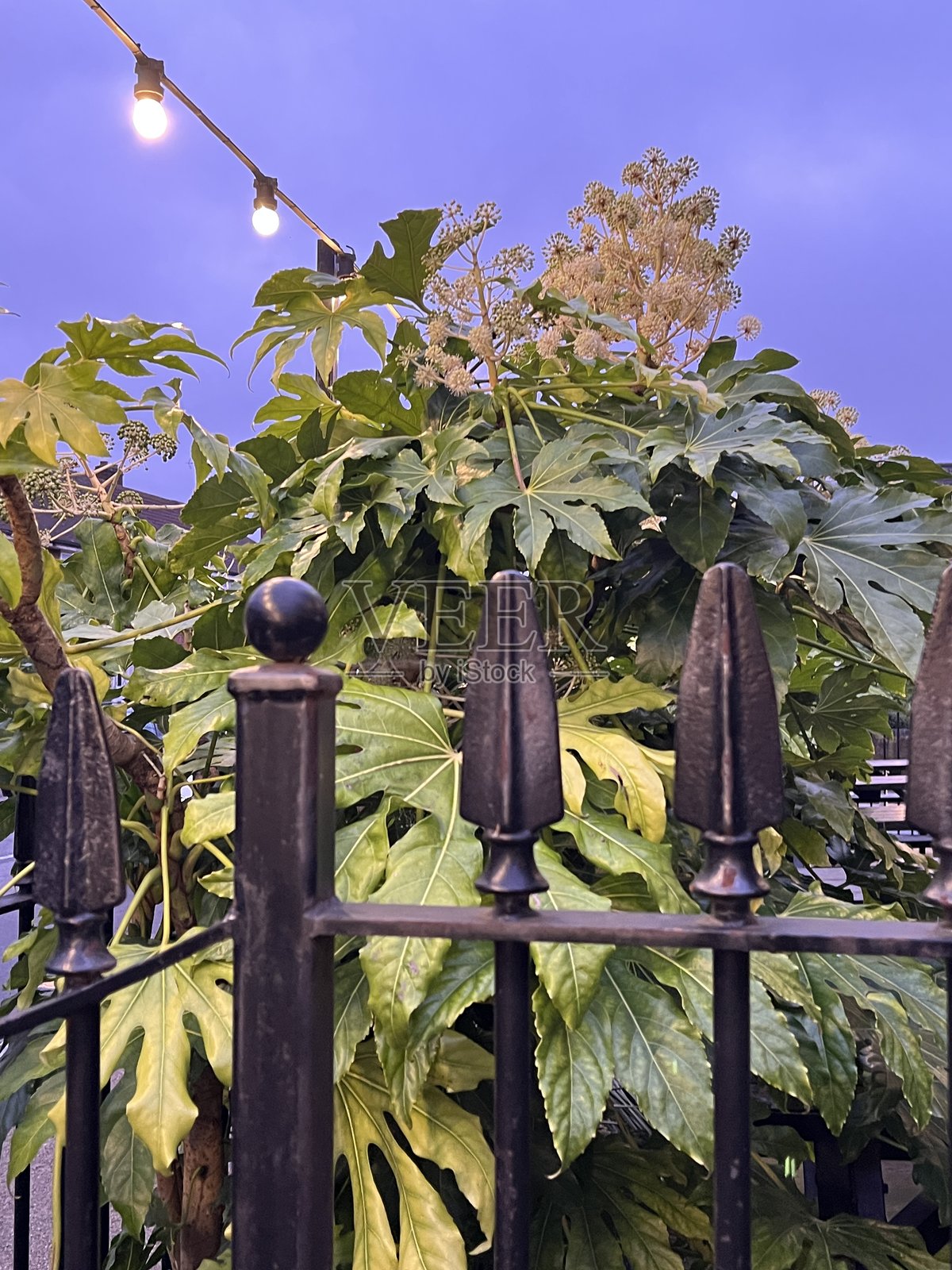 带飞机的围栏照片摄影图片