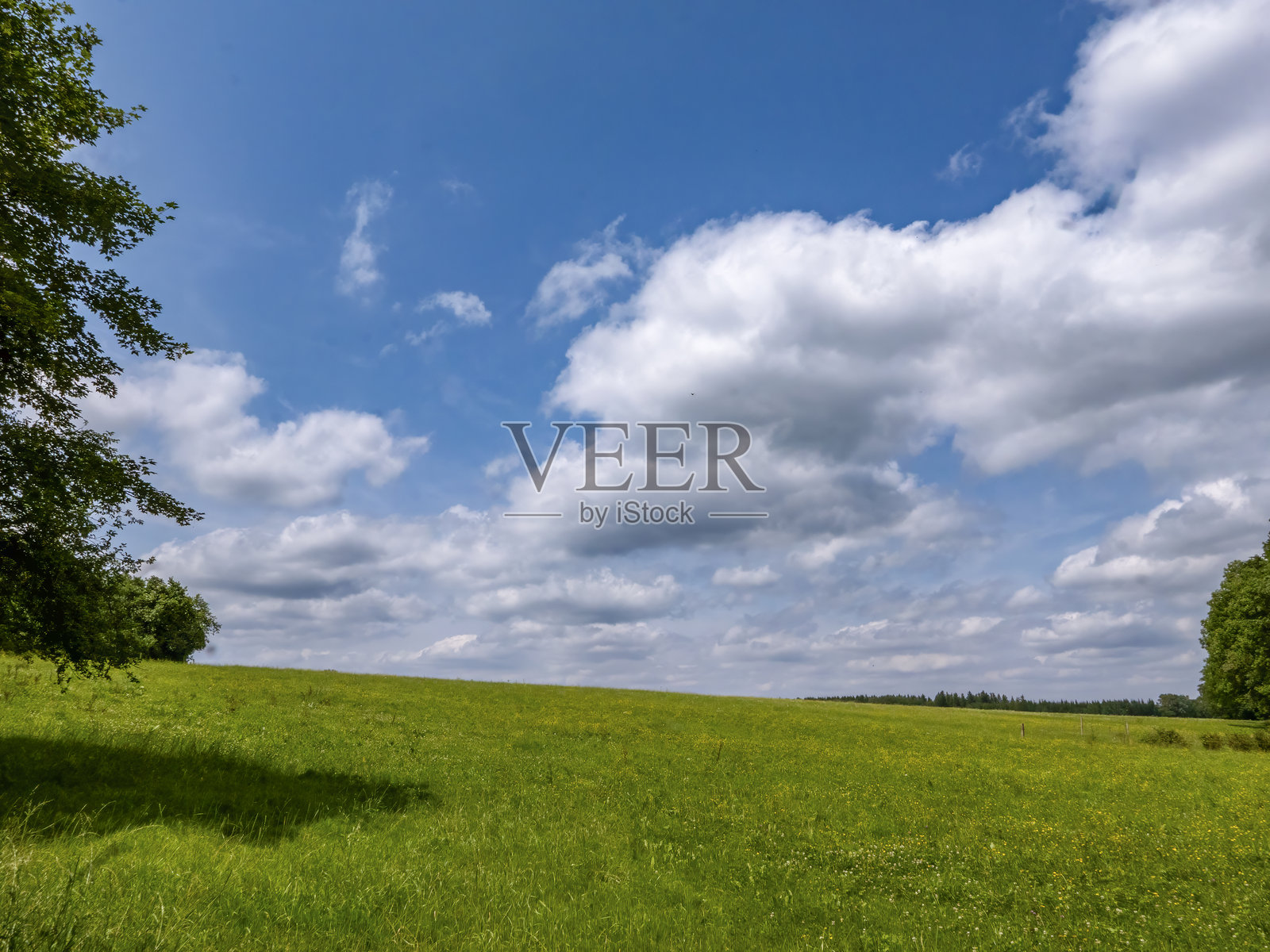 巴伐利亚阿尔卑斯山脚下的美丽风景。照片摄影图片