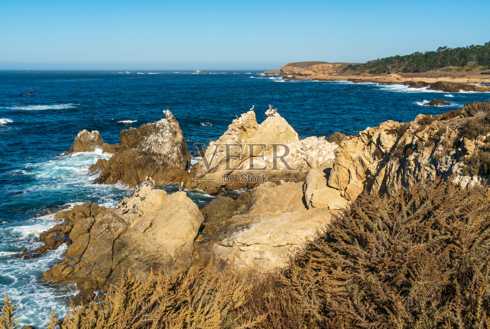 Rock Formations and Ocean at Point Lobos State Natural Reserve照片摄影图片