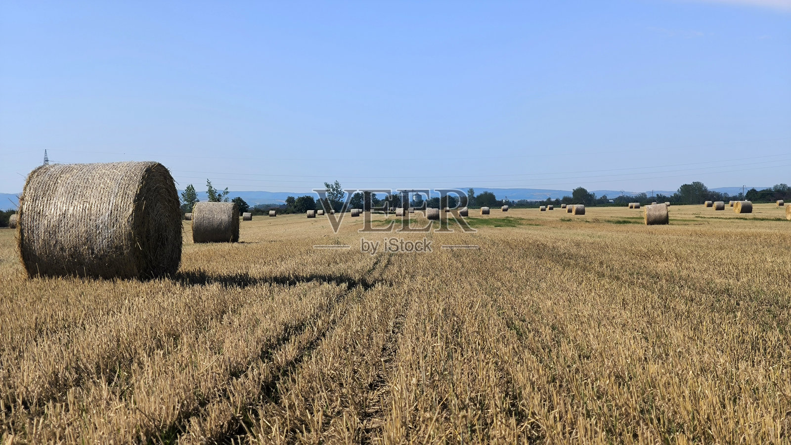 收割后的麦田里躺着一捆捆稻草。照片摄影图片
