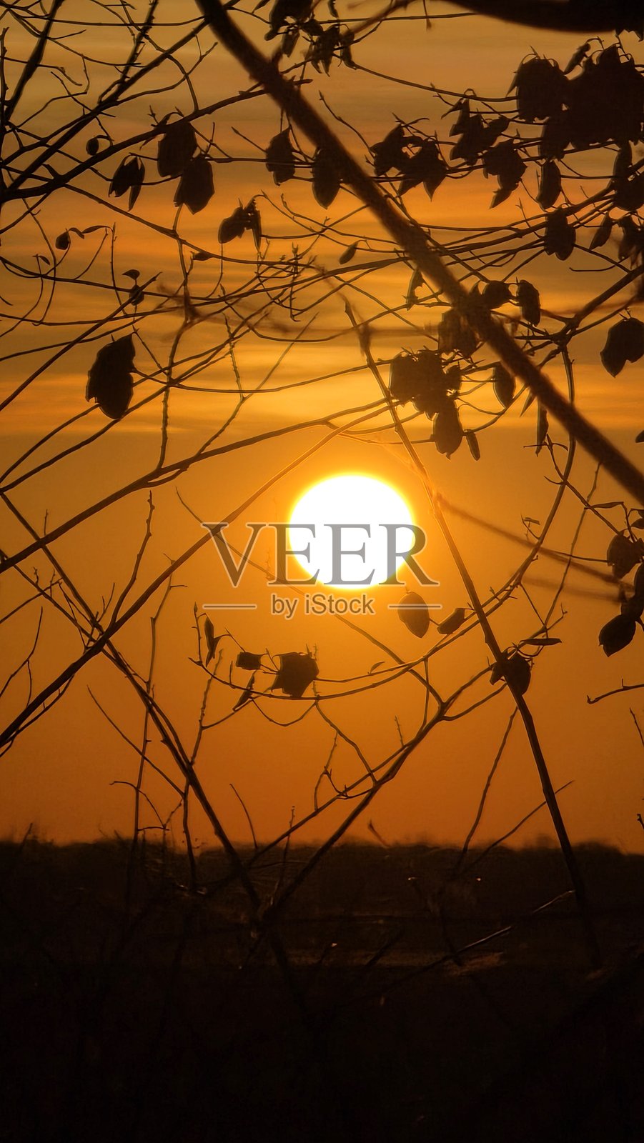 画中画照片摄影图片