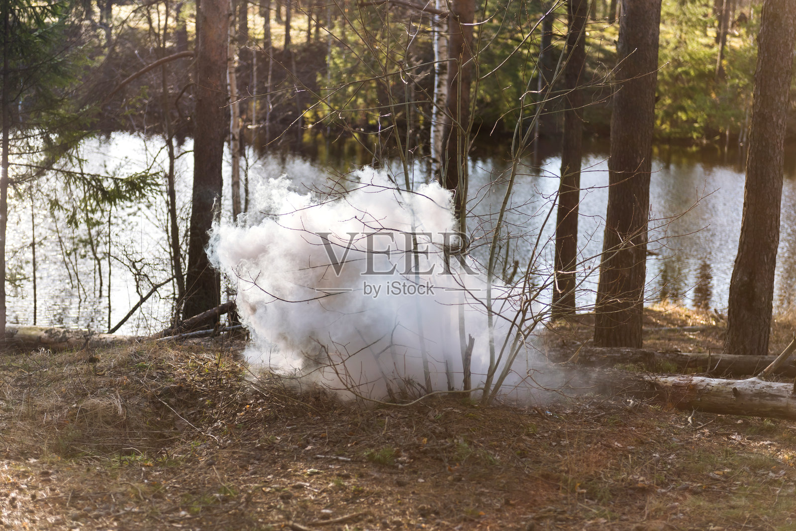 野森林中初起火灾的烟雾。照片摄影图片