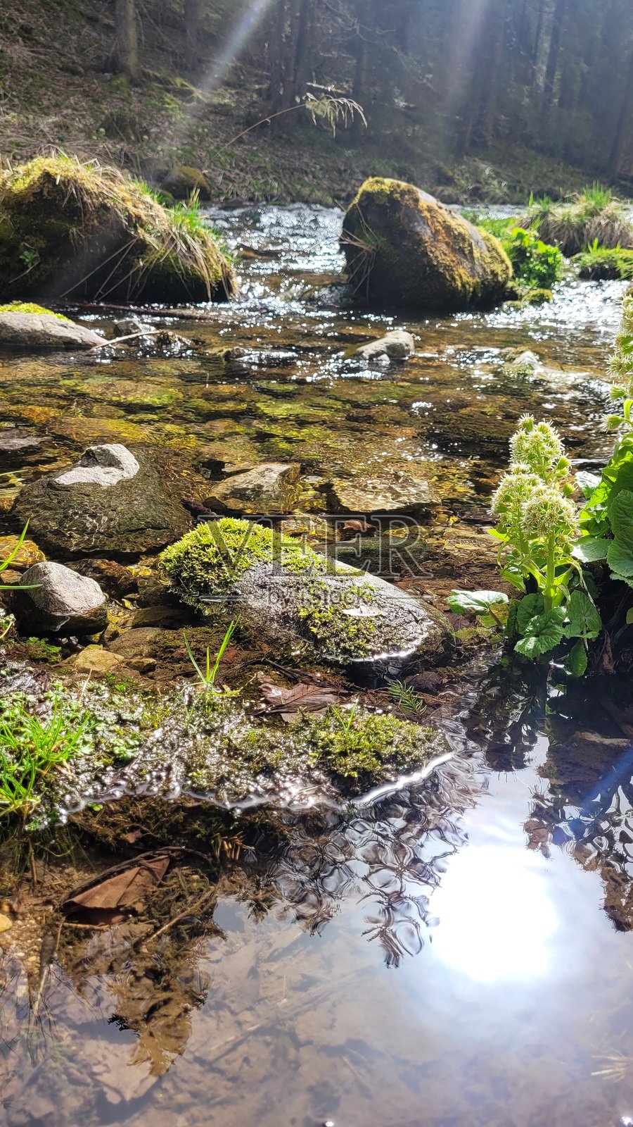 这张照片展示了一条如画的山间溪流照片摄影图片