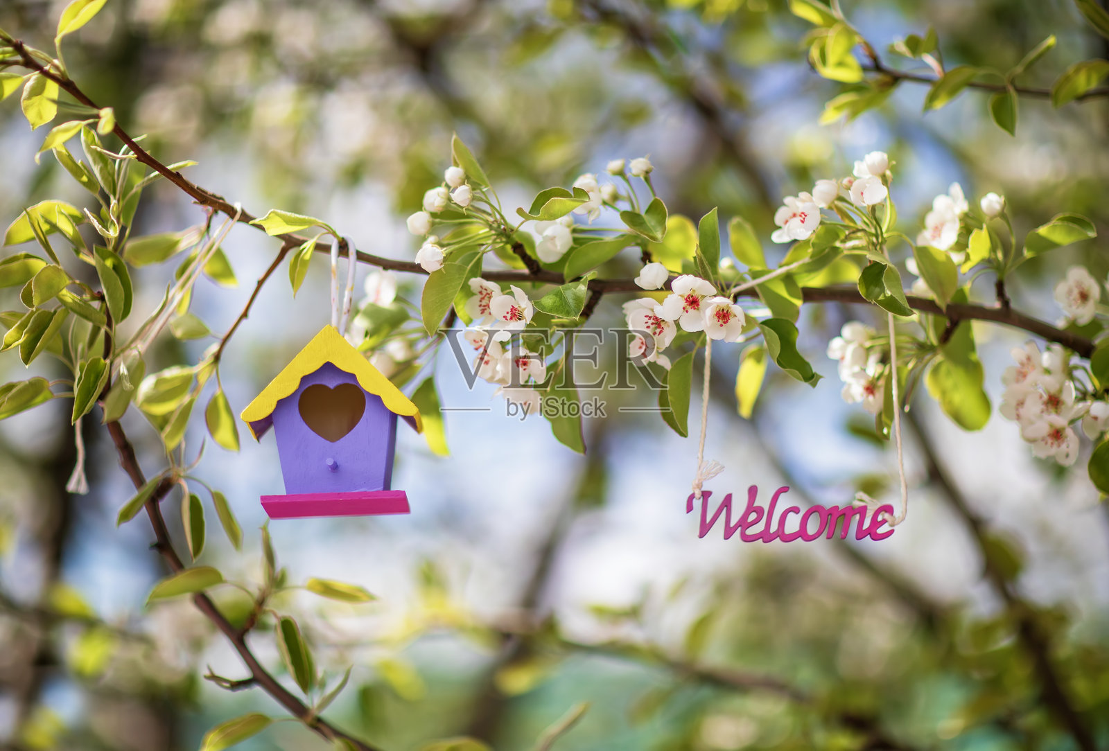 欢迎回家标志和明亮的鸟屋悬挂在春天阳光明媚的花园中，盛开的树枝上。照片摄影图片