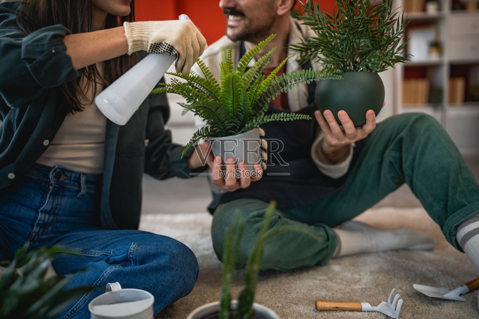 特写镜头下的男女手握着花盆并给其喷洒水。照片摄影图片