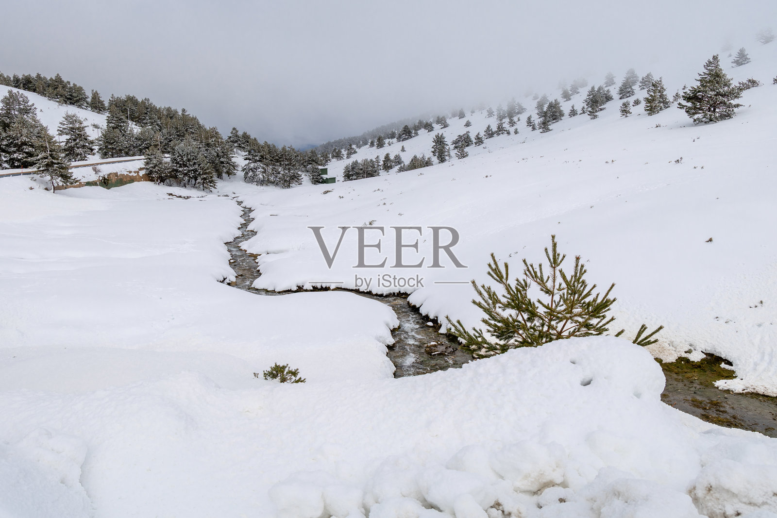 2025年3月，马德里瓦尔德斯基滑雪度假村周围的降雪景象。照片摄影图片