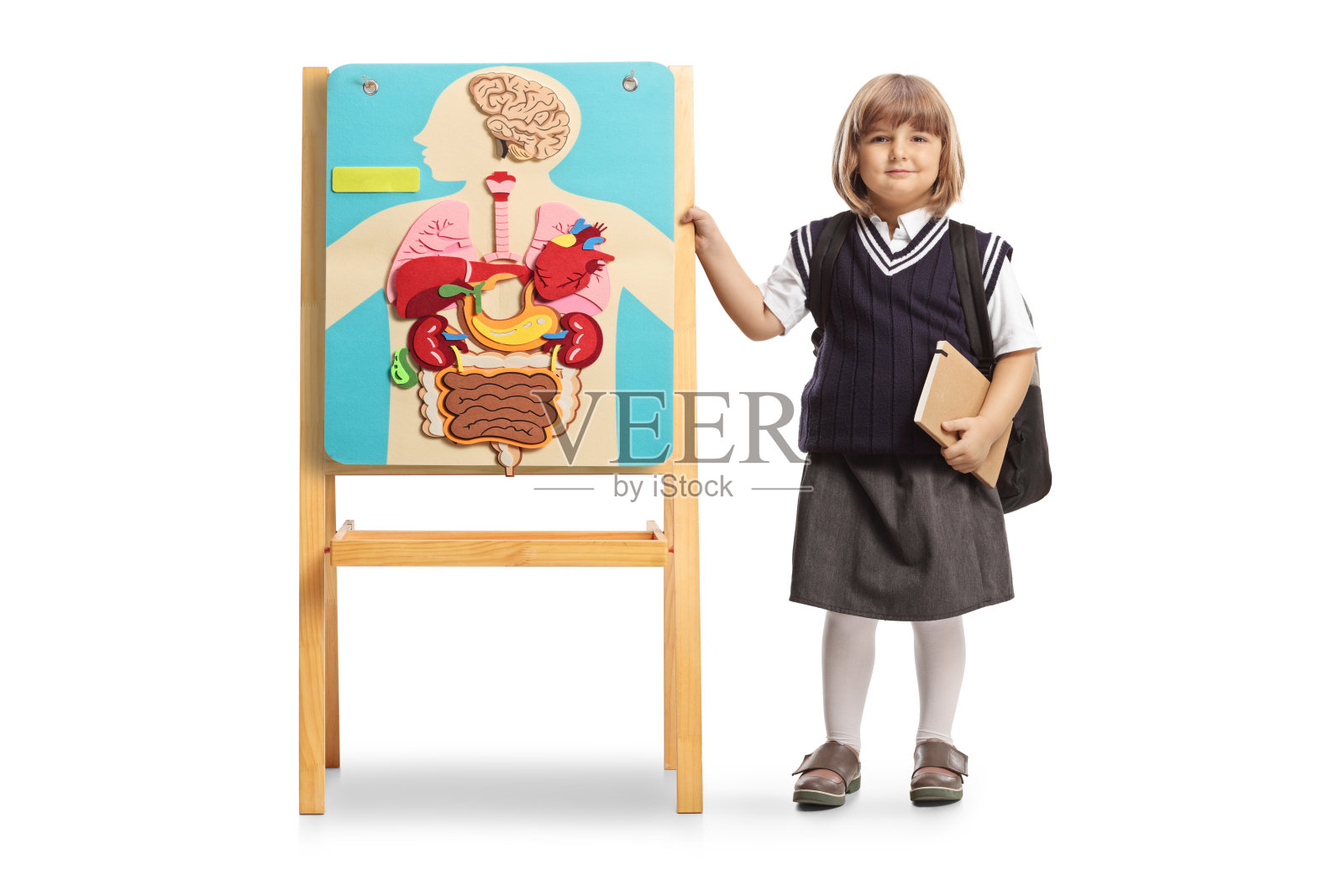 穿着校服的小女孩背着书包，站在黑板旁边，上面画有人体器官。照片摄影图片