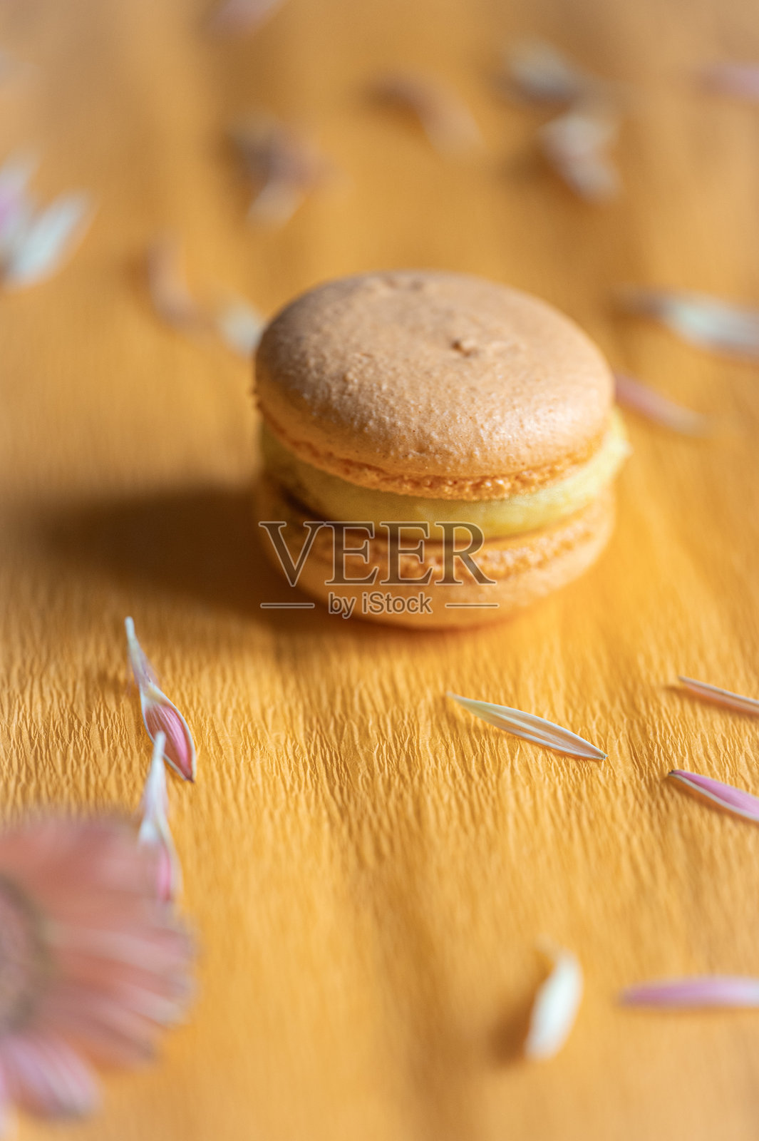 橙色马卡龙在橙色背景上照片摄影图片