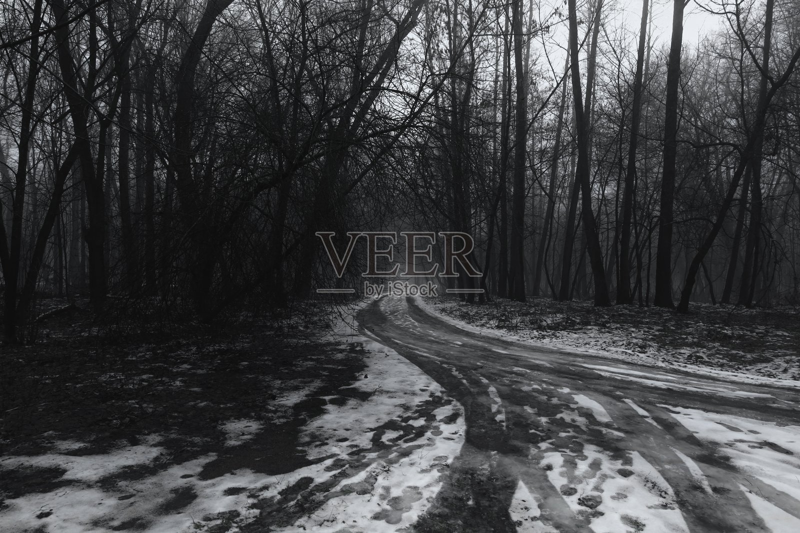 阴暗的冬季森林氛围，雪-covered道路照片摄影图片