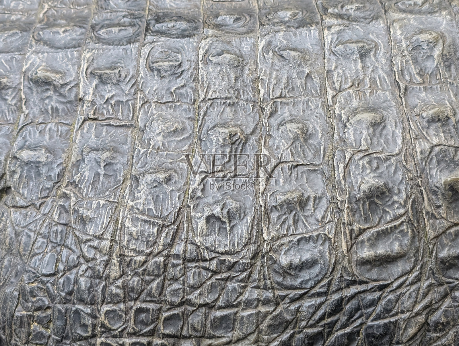 鳄鱼皮肤纹理照片摄影图片