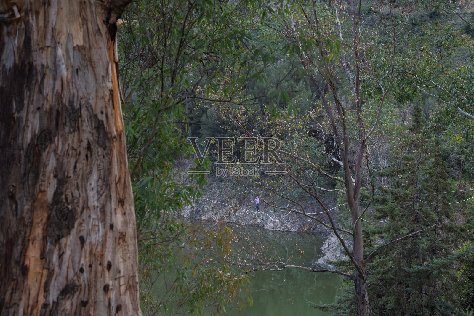 在森林湖泊上走钢丝的人保持平衡照片摄影图片