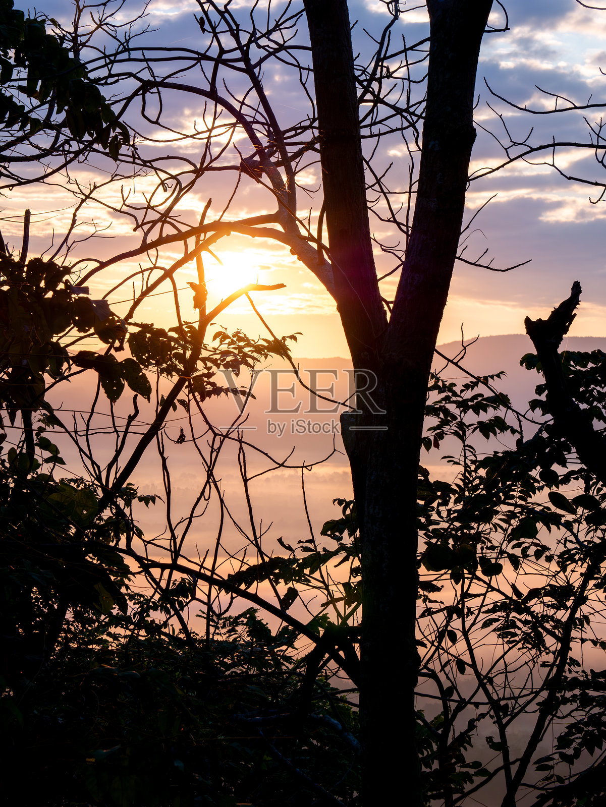 山顶上雾海之上的黎明照片摄影图片