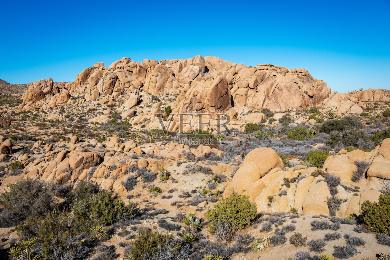 加州约书亚树国家公园的岩石高原照片摄影图片