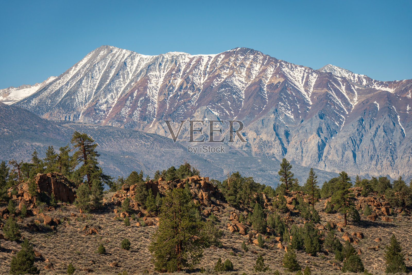 因约国家森林的山地风光照片摄影图片