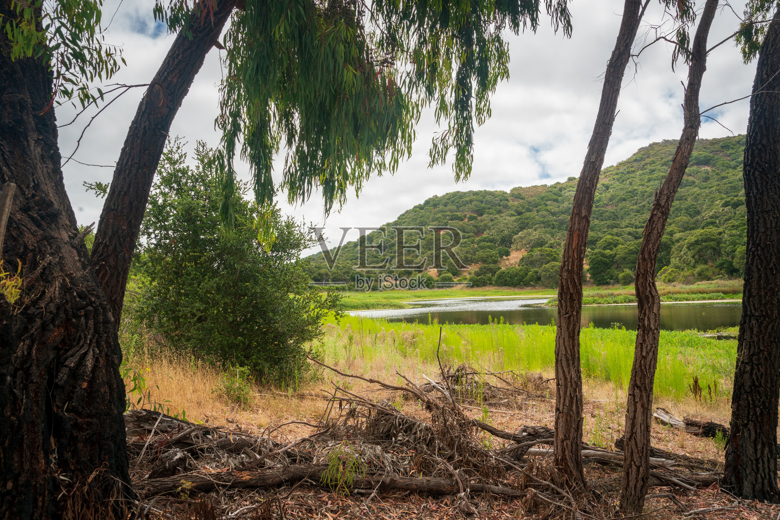 福特奥德国家纪念碑的沼泽观景台照片摄影图片