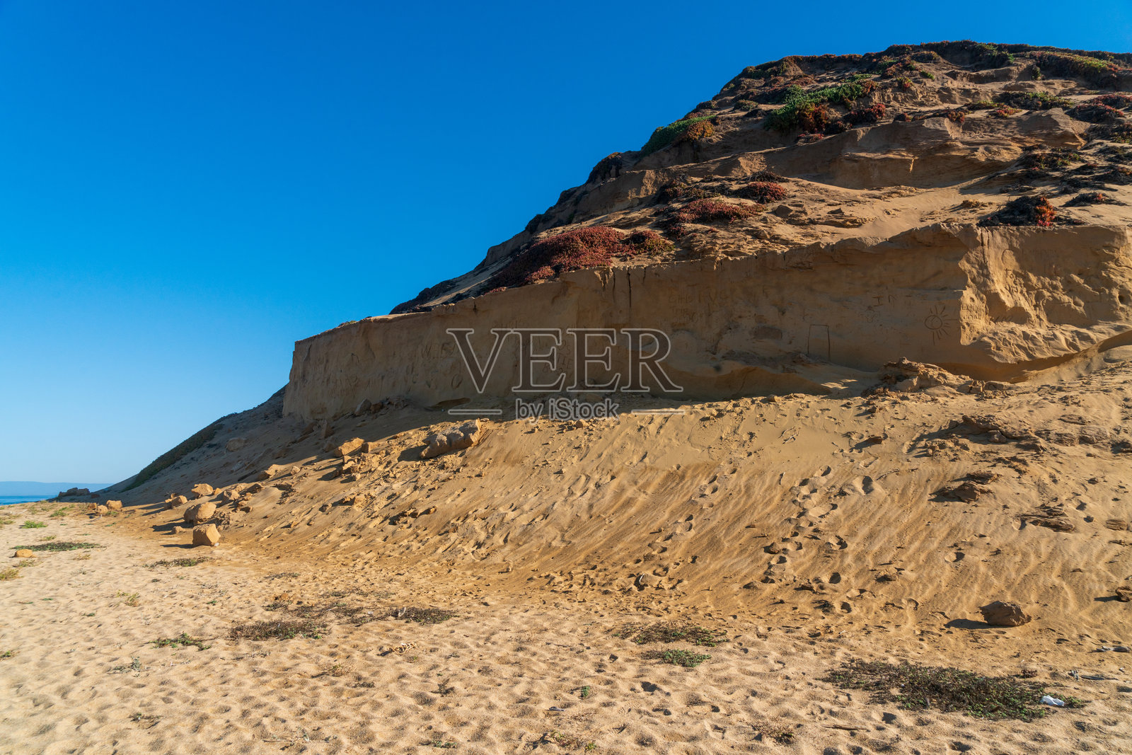 蒙特雷福特奥德州立公园的海滩照片摄影图片