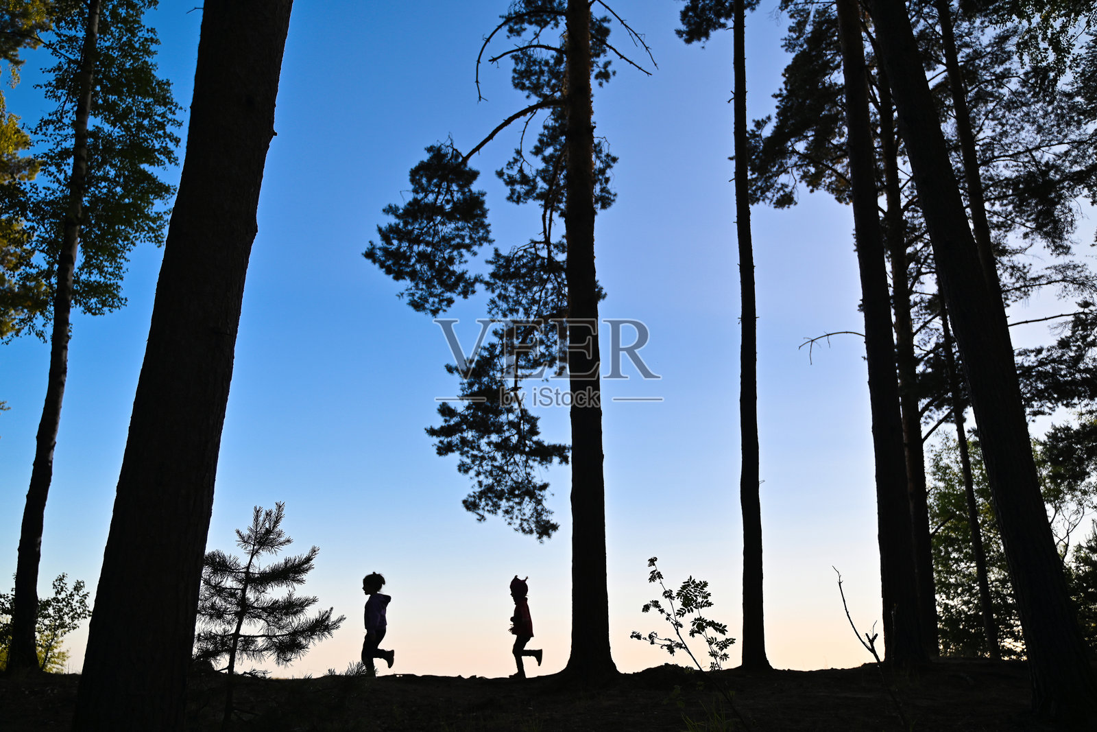 日落时分，两个孩子在森林中奔跑的剪影照片摄影图片