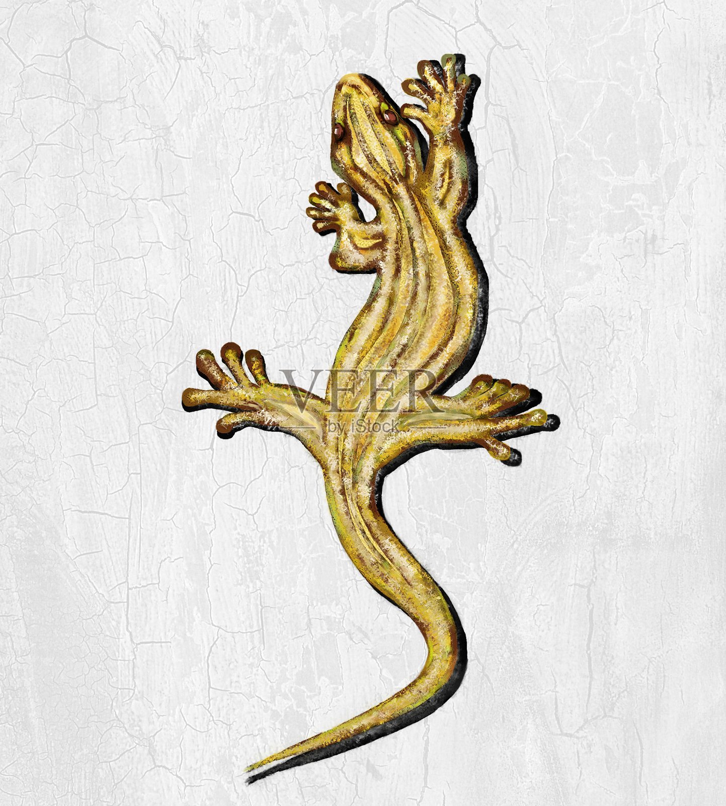 金色蜥蜴，红宝石般的眼睛插画图片素材