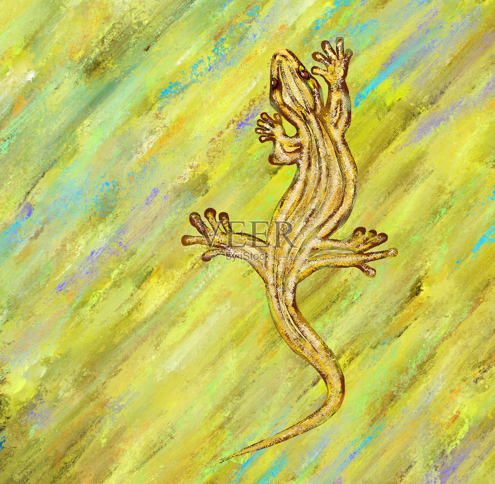 金色蜥蜴，红宝石般的眼睛插画图片素材