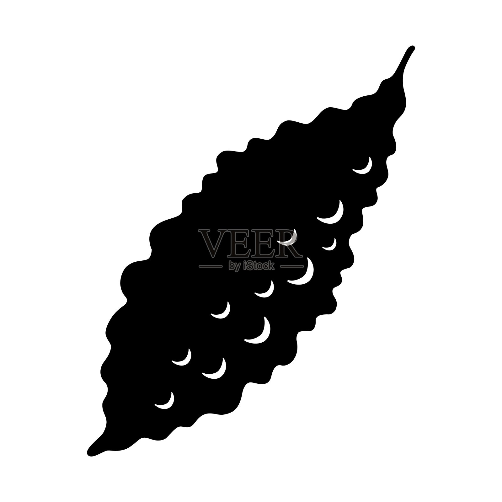 苦瓜孤立在白色背景上插画图片素材